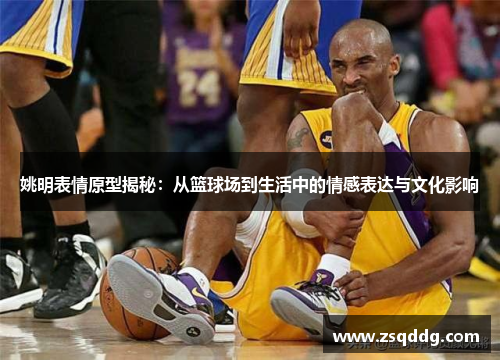 姚明表情原型揭秘：从篮球场到生活中的情感表达与文化影响