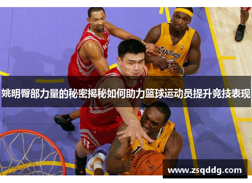 姚明臀部力量的秘密揭秘如何助力篮球运动员提升竞技表现