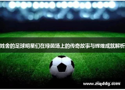 姓舍的足球明星们在绿茵场上的传奇故事与辉煌成就解析