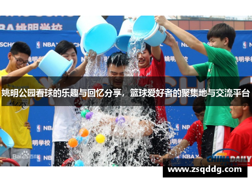 姚明公园看球的乐趣与回忆分享，篮球爱好者的聚集地与交流平台
