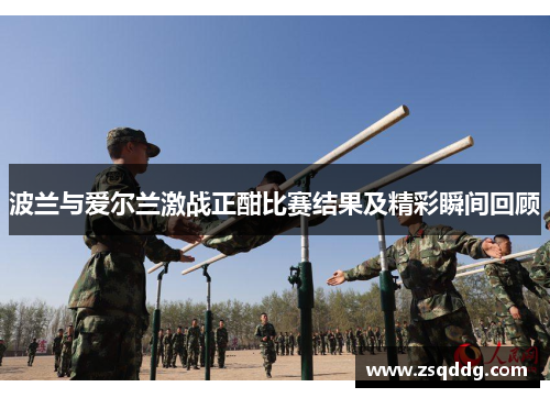 波兰与爱尔兰激战正酣比赛结果及精彩瞬间回顾